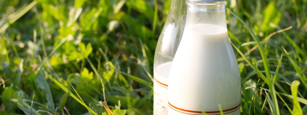 Ist pasteurisierte Milch Rohmilch?